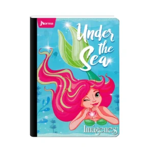 CUADERNO COSIDO IMÁGENES CUADROS 100H