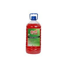 AMBIENTADOR RECORD FRUIT *3,8 LT