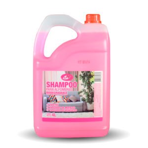 SHAMPOO ALFOMBRA RECORD *4L