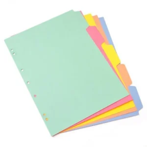 SEPARADOR DE MATERIAS CARTA *5 UND CARTULINA