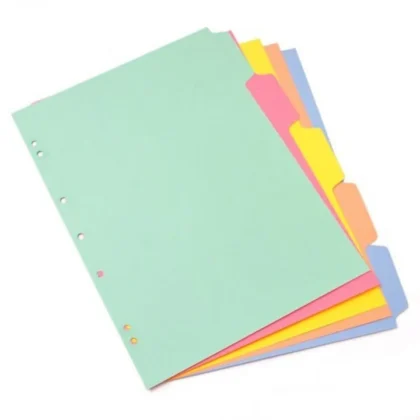 SEPARADOR DE MATERIAS CARTA *5 UND CARTULINA
